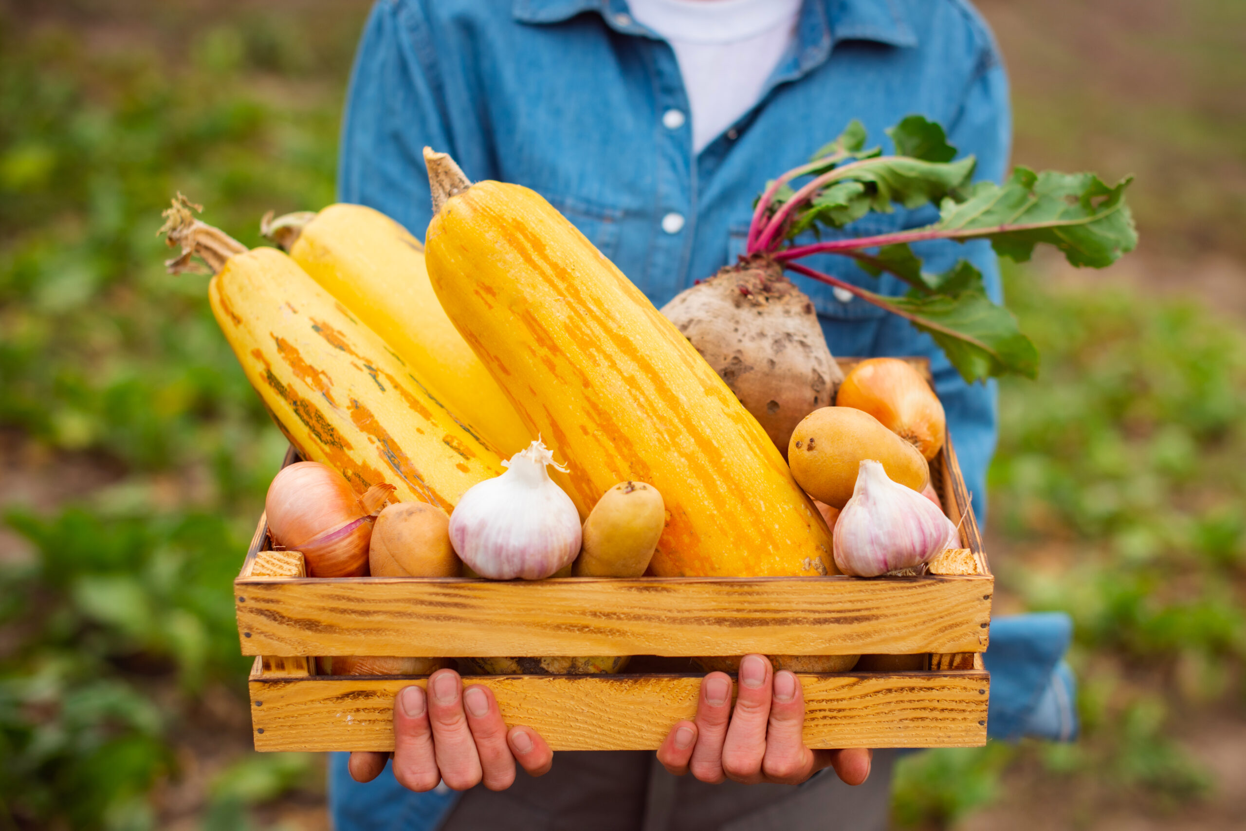 Soluções Agrícolas Biológicas